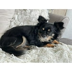 Image 7 of customer photos