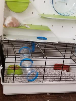 midwest critterville arcade hamster cage