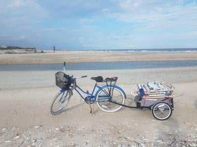 schwinn day tripper