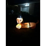 Image 3 of customer photos