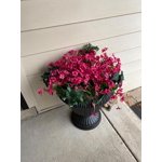 Image 5 of customer photos