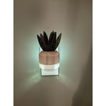 Snake Diffuser Better Homes & Gardens Aroma Diffuser with Snake Plant Fragrance Plug ...