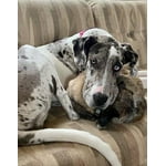 Image 2 of customer photos