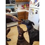 Image 1 of customer photos