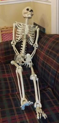 WAY TO CELEBRATE! Halloween Hanging Posable Skeleton Decoration, 5' -  Walmart.com