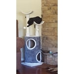 Image 1 of customer photos