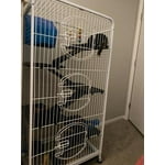 Image 3 of customer photos