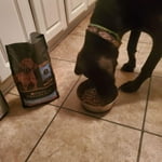 Image 3 of customer photos