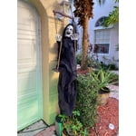 Image 5 of customer photos