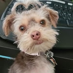 Image 6 of customer photos