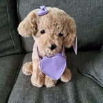 Image 6 of customer photos