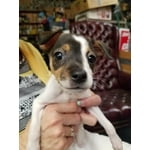 Image 6 of customer photos