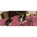 Image 6 of customer photos