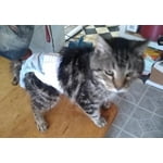 Image 4 of customer photos