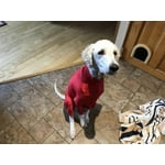 Image 7 of customer photos