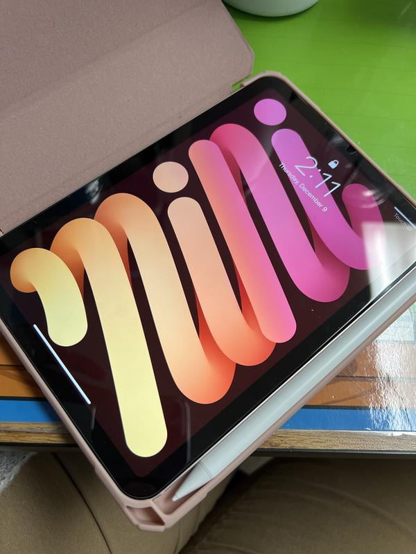 2021 Apple iPad Mini Wi-Fi + Cellular 256GB -Pink (6th