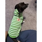 Image 2 of customer photos