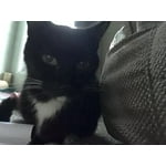 Image 6 of customer photos