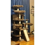 Image 3 of customer photos