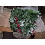 Image 5 of customer photos