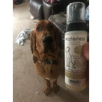 Image 5 of customer photos