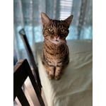 Image 1 of customer photos