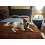 Image 4 of customer photos