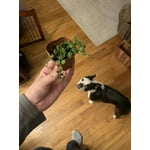 Image 4 of customer photos
