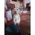 Image 7 of customer photos