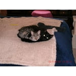 Image 5 of customer photos