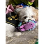 Image 4 of customer photos