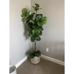 Image 6 of customer photos