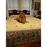 Image 1 of customer photos