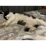 Image 5 of customer photos