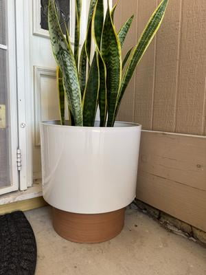 Better Homes & Gardens 14in Laurie White Resin Planter, Indoor