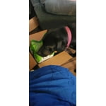 Image 5 of customer photos