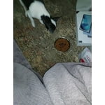 Image 7 of customer photos