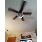 Image 5 of customer photos