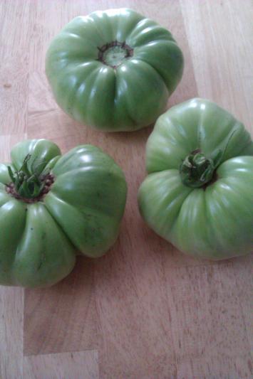 Scotts Miracle Gro Tomato Plant Food 1 5 Lb