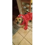 Image 1 of customer photos