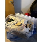 Image 6 of customer photos