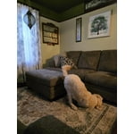 Image 5 of customer photos