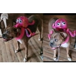 Image 5 of customer photos