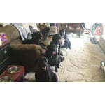 Image 3 of customer photos