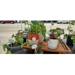 Image 5 of customer photos