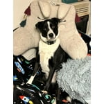 Image 6 of customer photos