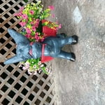 Image 3 of customer photos