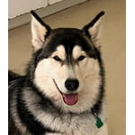 Image 5 of customer photos