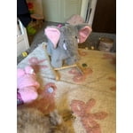 Image 7 of customer photos