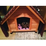 Image 1 of customer photos